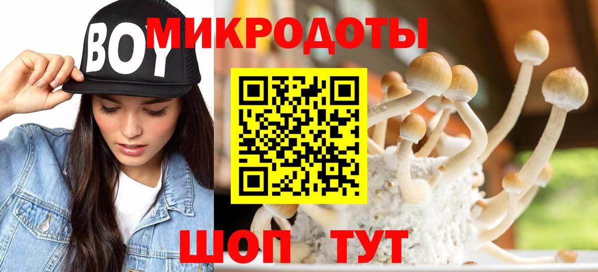 Псилоцибиновые грибы ЛСД  Псилоцибиновые грибы Psilocybe  Чебоксары  купить  сайты  Вход с VPN 